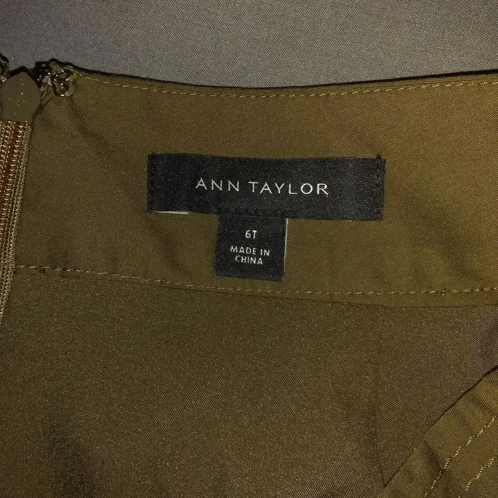 Ann Taylor skirt